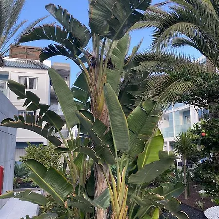 Sun And Surf Apartman Corralejo