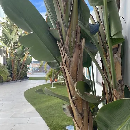 Sun And Surf * Corralejo