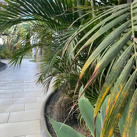 Sun And Surf Apartamento *