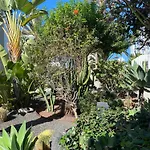 Sun And Surf Apartamento Corralejo